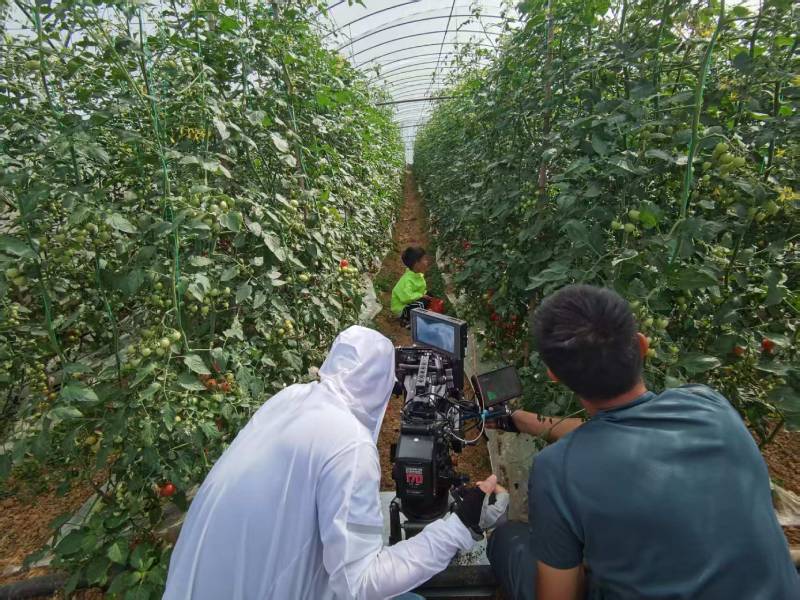 阿合奇县产品宣传视频拍摄公司进阶指南，助力品牌抢占传播高地